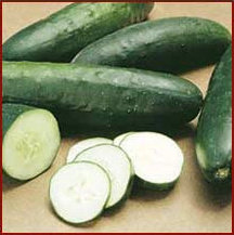 File:Cucumbers pub dom.jpg