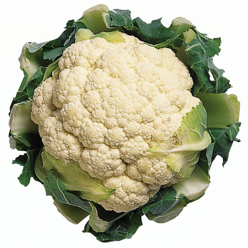 File:Cauliflower publ dom.jpg
