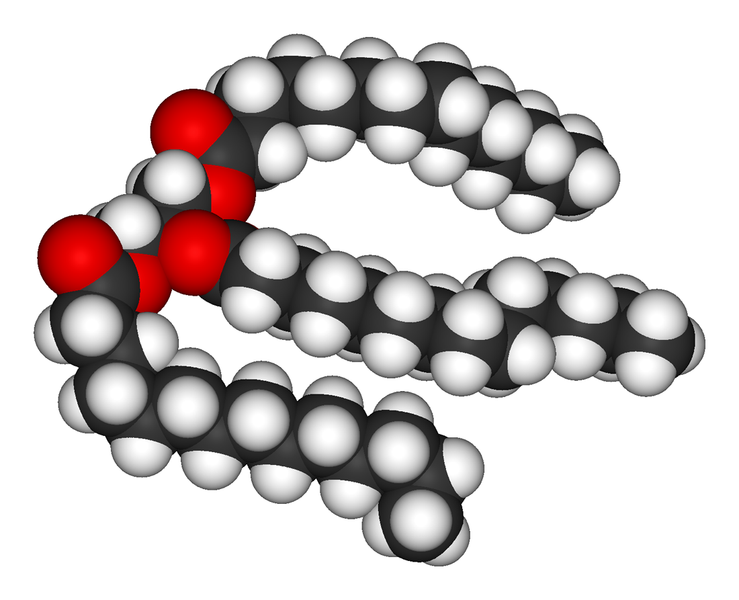 File:Triglyceride molecule - pub dom.png