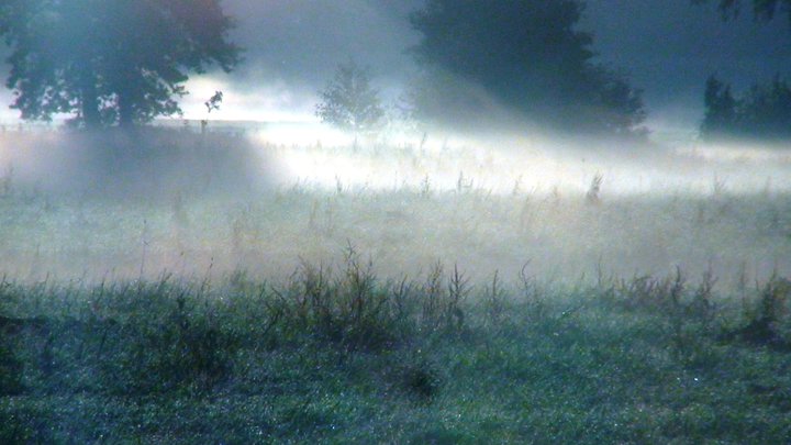 File:Realms in spirit world.jpg