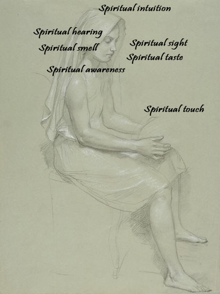 File:Spiritual senses.jpg