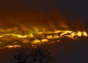 The sky was wild and the gleam was bright.jpg