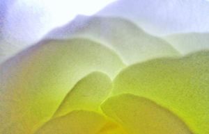 The truth is one.jpg