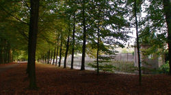 Spiritual and Religious Principles - main topics icon.jpg