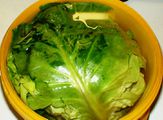 Preparing sauerkraut from white cabbage. The entire (soft type of) white cabbage is kept under water with sea salt for about two months. Salt should be ca 2.5 % of the entire weight. You can add garlic and pepper as the Turks sometimes do and it is similar to kimchi.
