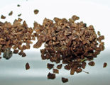 Oenothera seeds