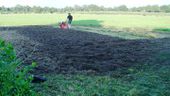 Working with a rotary tiller on grass land. After cutting the grass we used this type of cultivator (rototiller or rotavator).