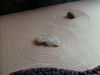 Zen garden.jpg