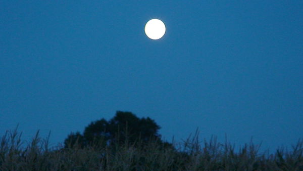 Living in communion with the good spirit world.JPG