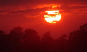 Image for Seasons of the day.jpg