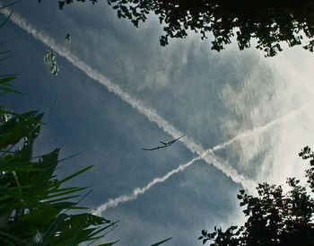 What to do when there comes disunity in a heavenly organization.jpg