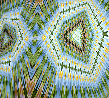 Image for 'Study of the mind'.jpg