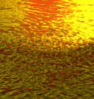 Truth - Light - DP by John Eagles.jpg