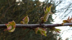 Image for Internal and external training.JPG