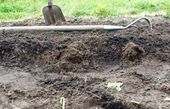 The soil that was loosened this way is now almost 10 cm higher.